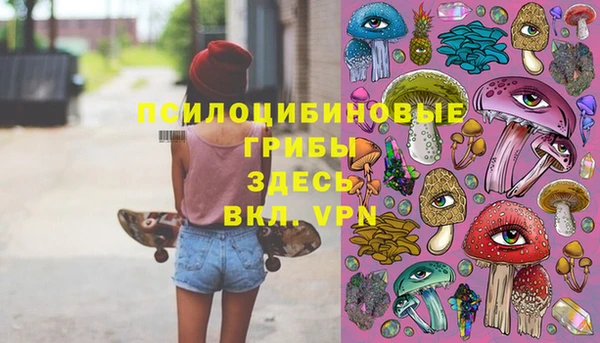 гидропоника Абдулино