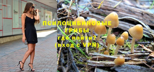 гидропоника Абдулино
