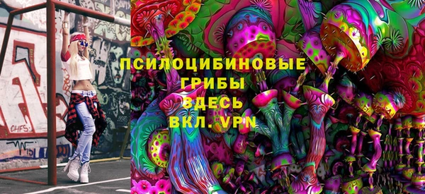 ешки Абаза